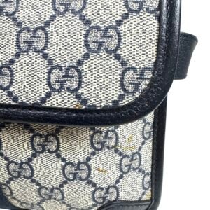 Gucci, Pochette ceinture « Ophidia »